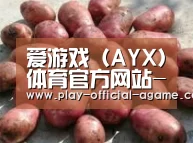 产品展示标题5