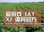 种植基地五