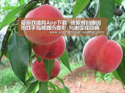  爱游戏官网