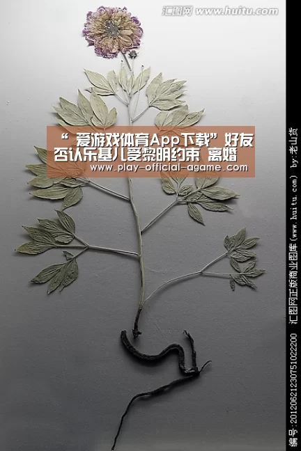 “ 爱游戏体育App下载”好友否认乐基儿受黎明约束 离婚后伤心痛哭(图2) 爱游戏体育App下载