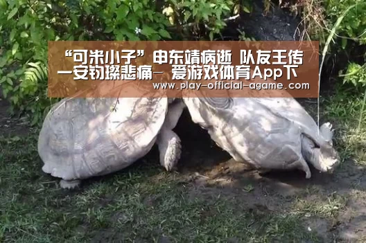 “可米小子”申东靖病逝 队友王传一安钧璨悲痛- 爱游戏体育App下载(图1) 爱游戏体育