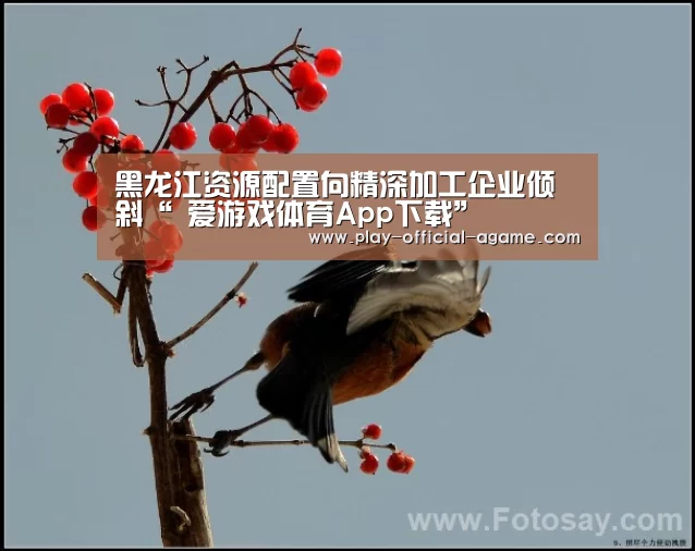 黑龙江资源配置向精深加工企业倾斜“ 爱游戏体育App下载”(图2) 爱游戏体育