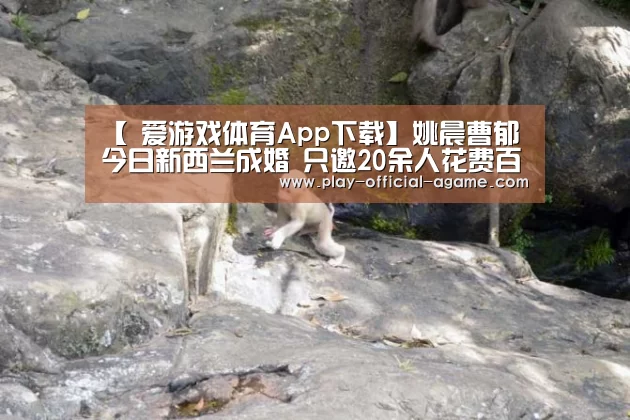  爱游戏体育App下载