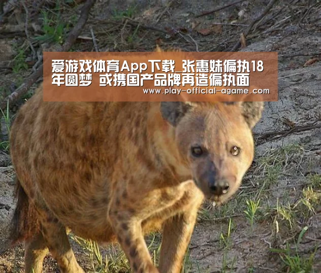  爱游戏体育App下载