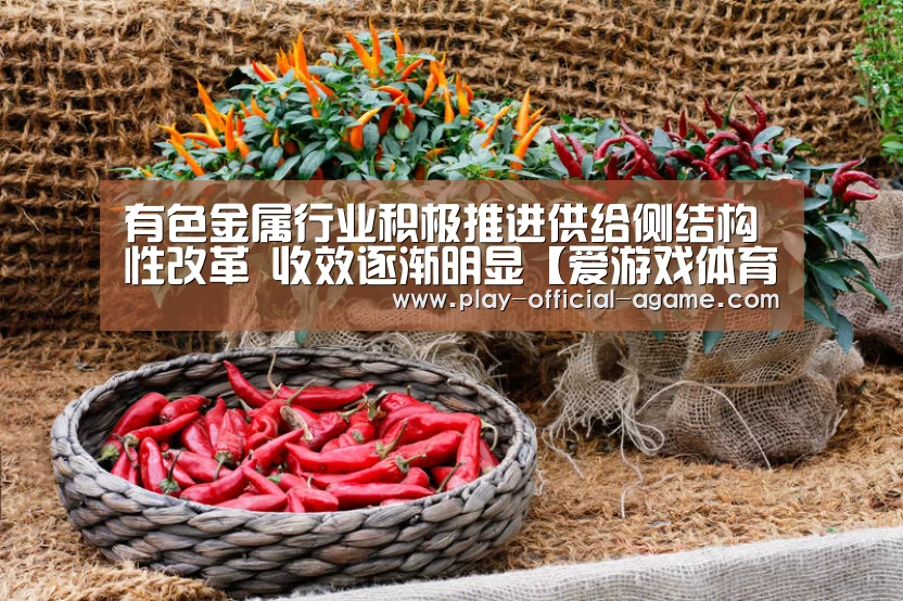  爱游戏体育App下载
