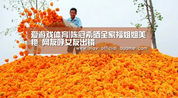 爱游戏体育