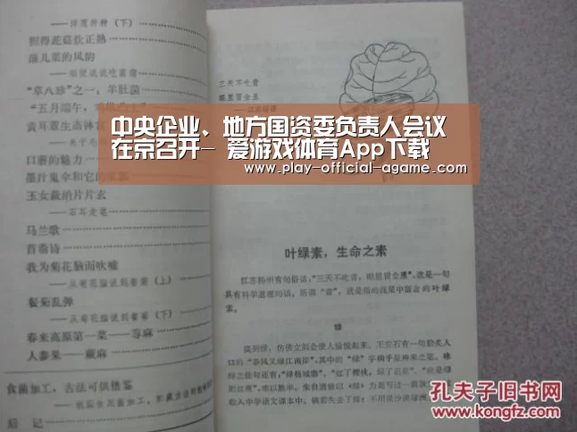  爱游戏官网